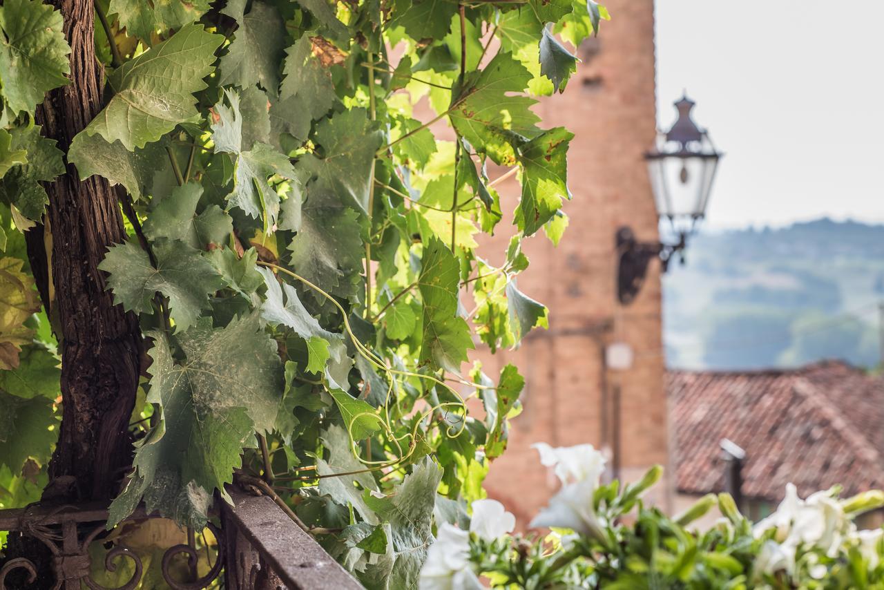 B&B Antico Tralcio Antignano  Eksteriør bilde