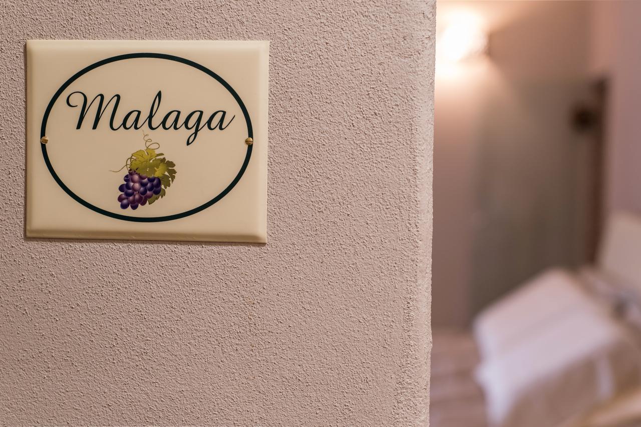B&B Antico Tralcio Antignano  Eksteriør bilde